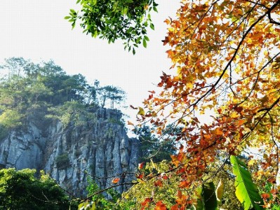 京东白条提现利息怎么算？出财小神带你算清每笔账