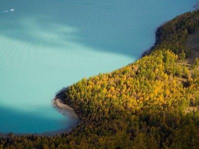 2020花呗套现风险全解析：官方合规方式与正规平台建议