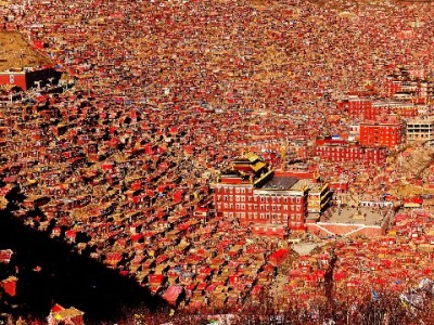 抖音月付买茅台提现攻略：出财小神教你合规变现少踩坑