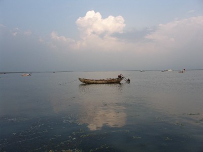 套借呗还花呗陷利滚利？"出财小神"教你跳出债务怪圈