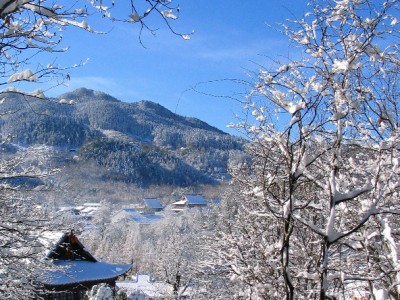 洛阳信用消费需谨慎 合规平台（如出财小神）助您远离套现风险