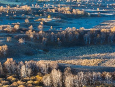医保提现标准知多少？安出掌柜助您合规查询更放心