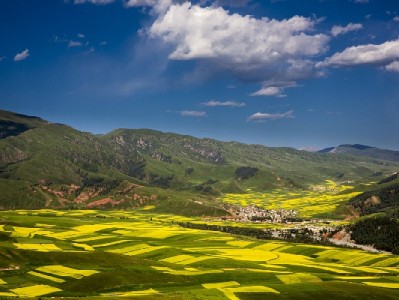 花呗赏金提取攻略：安出掌柜助你5分钟安全到账