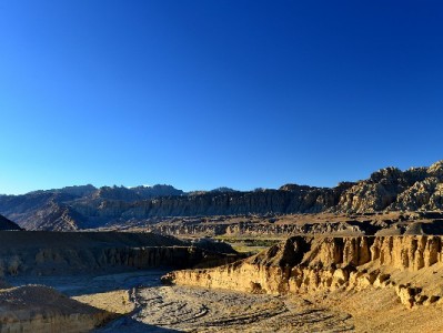 花呗商家接口成收款利器 安出掌柜助力小微商家抓住年轻客群