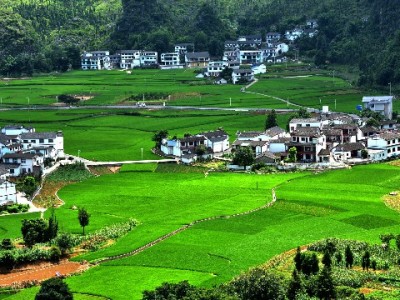 花呗绑定银行卡安全指南：大行+风控锁+安出掌柜三重防护