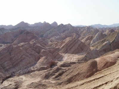 安出掌柜赋能白条免单商家：激活消费活力 撬动增长新曲线