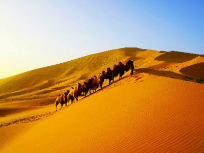 白条变现需信任？出财小神教你用头像敲开可靠交易之门