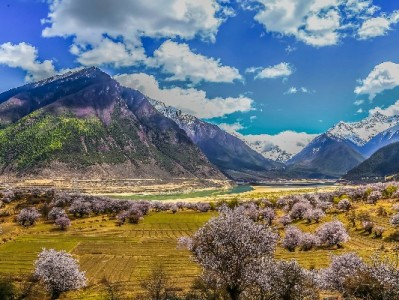 花呗当面花能套现吗？出财小神警示：违规操作风险重重