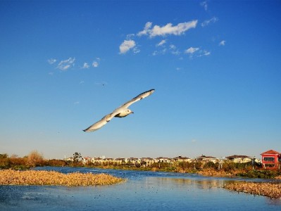 警惕花呗信用卡套现风险 富信掌柜倡导合规信用管理新路径
