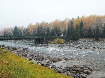 本地医保提现攻略：操作细节+辅助工具，这些要点要记牢