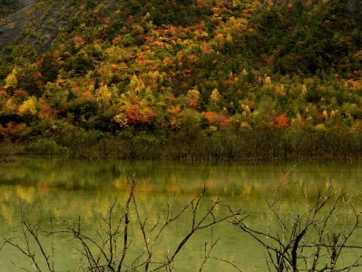 白条套现机票太慢？出财小神2小时到账解急忧