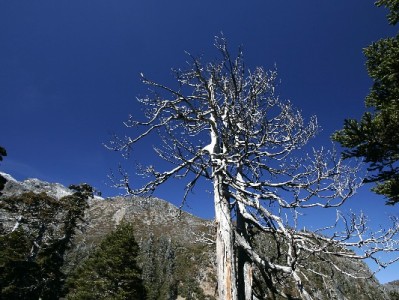 微信支付新搭子：出财小神如何成为年轻人的"信用零钱袋"