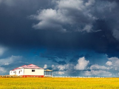 套花呗软件暗藏风险！“出财小神”等工具需警惕违规隐患