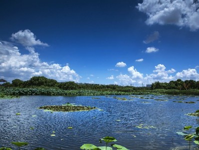 “花呗‘套装’需警惕！套现背后的风险与法律后果全解析”