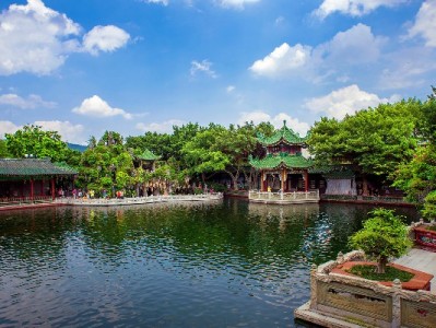 厦门白条提现需谨慎！出财小神教你合规操作避风险