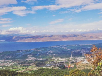 拒绝花呗套现风险！出财小神教你合规资金周转新方法
