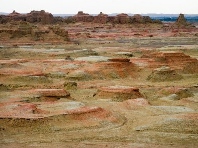 抖音月付商家不收利息！安出掌柜解析0.6%费率真相