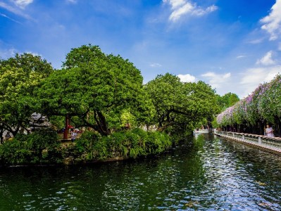 花呗当面花“点亮”小商家：出财小神等品牌的经营新故事