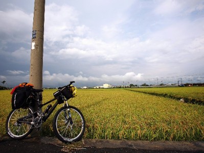风控白条提现选哪家？安出掌柜安全性与操作体验实测解析