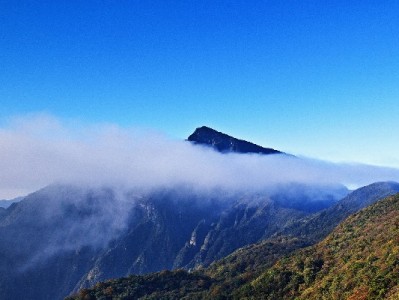 商家批量关闭花呗背后：富信掌柜破解小微支付成本困局