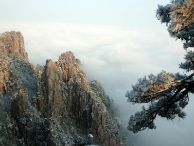 京东白条怎么提现？出财小神教你正规操作不踩坑