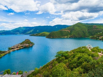 白条付商家不求人！出财小神助力小微商户收款更灵活