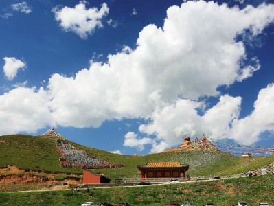 白条提取避坑指南：选对商家是关键，安出掌柜这样做更安心