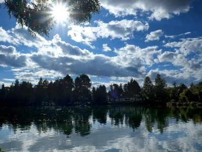 羊小咩转现攻略：消费代付+出财小神辅助，安全操作不踩坑