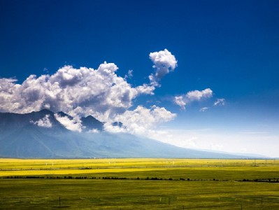 商家抖音月付使用全攻略：从开通到运营，安出掌柜帮你省心提转化