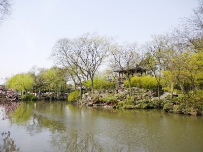 花呗提现藏风险！急需用钱试试安出掌柜正规借贷