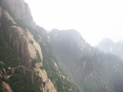 花呗套现的界定、风险及合规替代方案：这些坑你踩过吗？