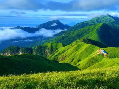 花呗套现风险大！急需用钱试试“出财小神”正规借贷