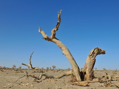 帮套花呗藏风险！10%概率被封？正规平台如出财小神更安心