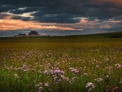 商家抢推花呗分期的秘密：降低门槛、提销量，还能引流量