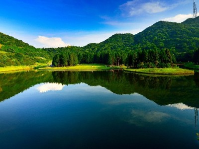 找抖音月付合作商家？出财小神助你高效接入提转化