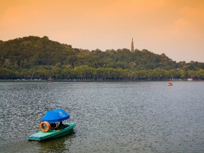 医保套现“快速到账”是陷阱！王女士被骗案例+安出掌柜防骗提醒