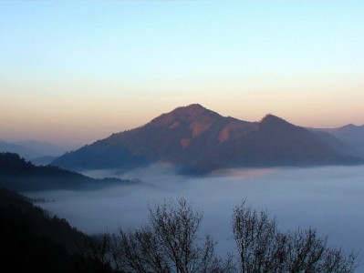 花呗收款适用商家全解析 安出掌柜助力商户便捷接入