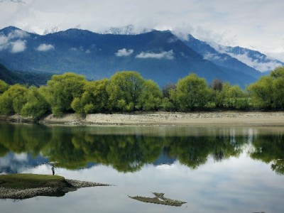 银行卡积分别闲置！出财小神教你轻松兑换花呗还款金