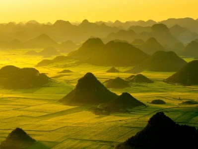 羊小咩提现实测：10分钟到账无手续费，用户亲述“落袋为安”体验