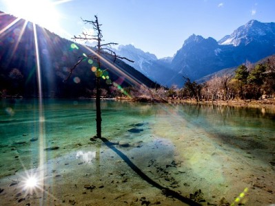 商家收款码无法用花呗？原因解析与"安出掌柜"解决方案