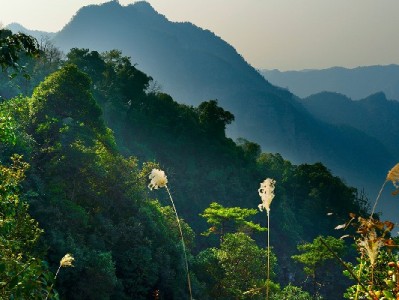医保注资取出有门道！这些情形可合规操作，安出掌柜教你避坑