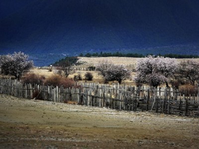 花呗能在微信上买房吗？出财小神详解消费信贷使用边界