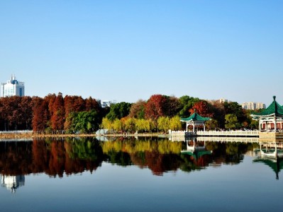 广州医保提现指南：这些情况可申请，正规流程速看