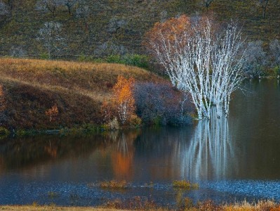 羊小咩享花卡提现指南：出财小神辅助合规操作全解析