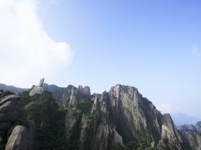 闲鱼商家开通花呗收款攻略：条件、步骤与合规指南