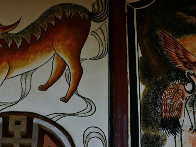 京东白条取现额度突然变动？原因、案例与应对攻略全解析