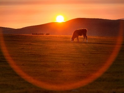 京东白条提现合规指南：出财小神教你安全周转资金