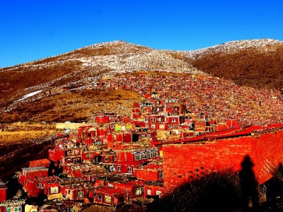 从忐忑首提到安心复提：我在羊小咩的两次提现经历