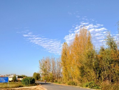 微信豆充值新方法：花呗额度这样转充更便捷（附详细步骤）