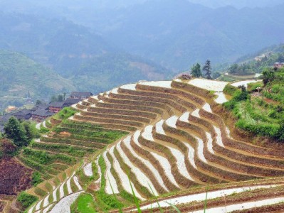 羊小咩"最简单套现"藏风险 虚拟交易与第三方工具需警惕